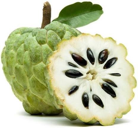 Custard Apple  Sharifa