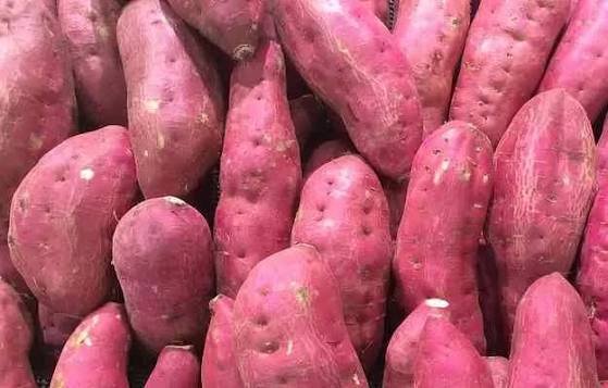 Sweet Potato  Shakarkand