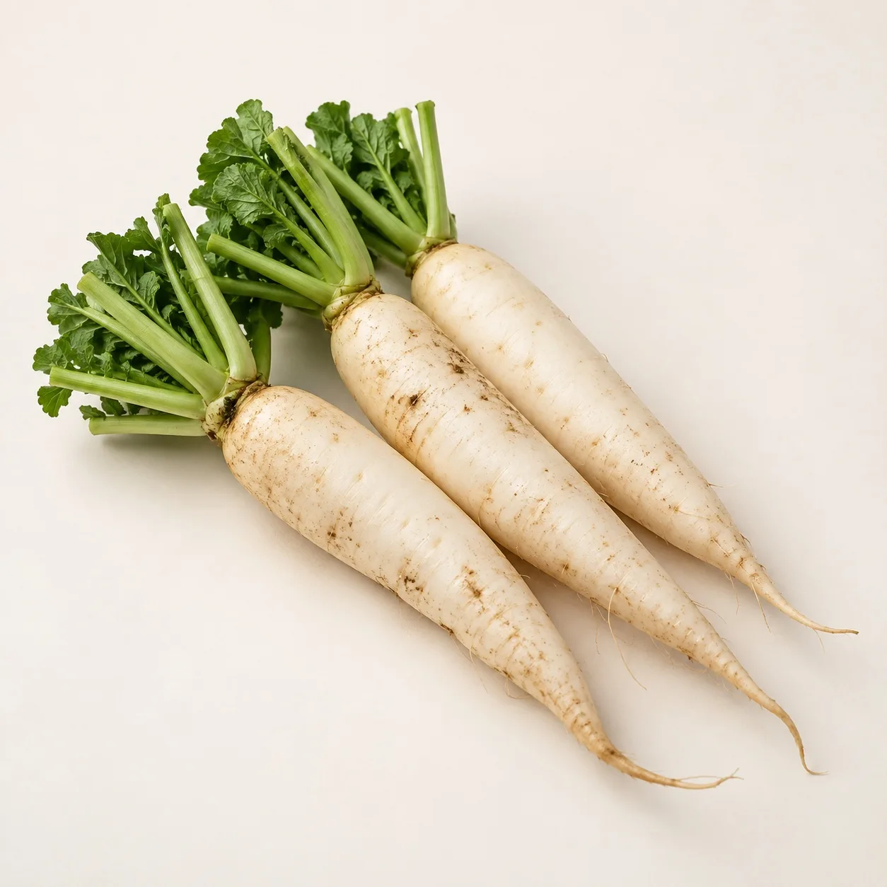 Radish / Mooli
