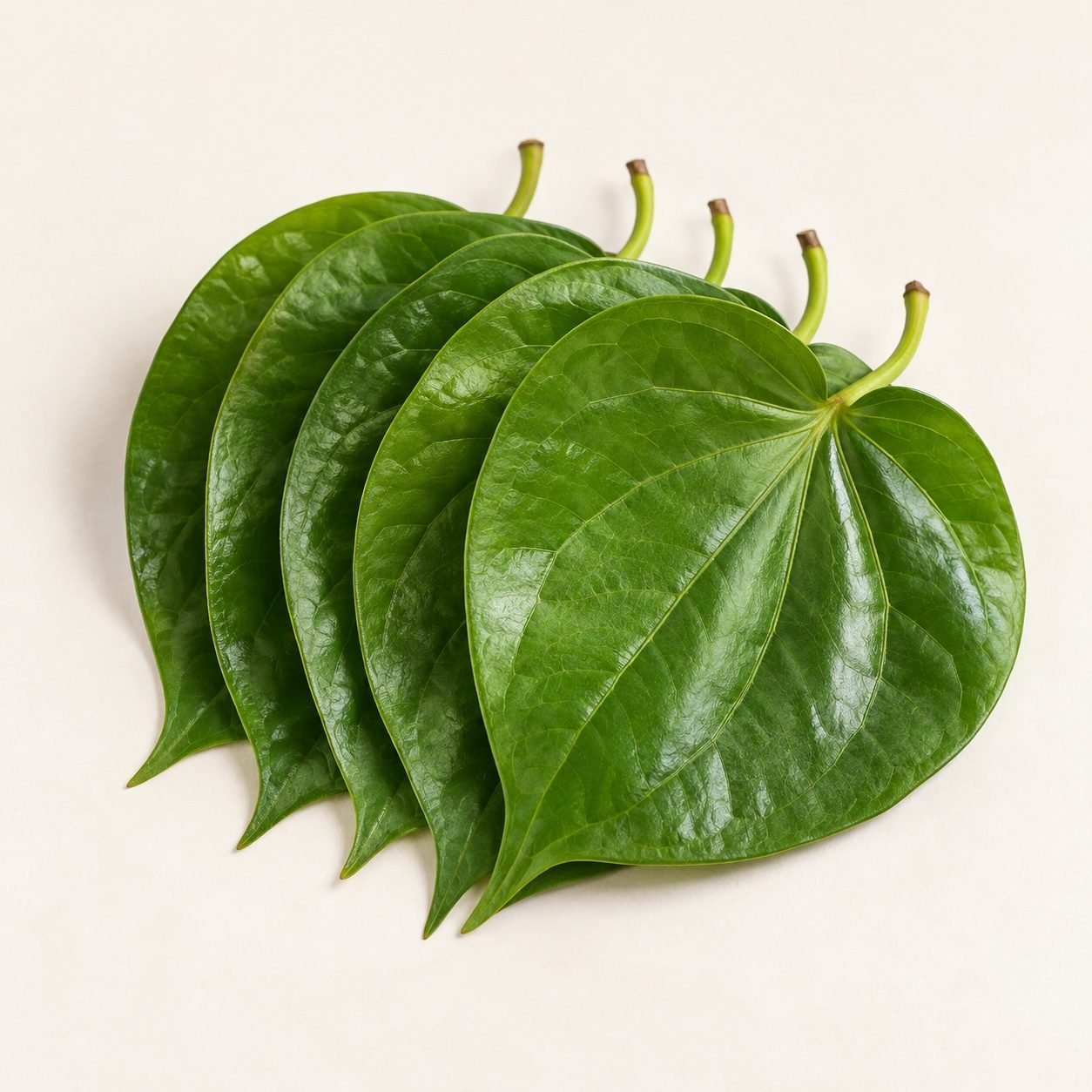Betel Leaves / Paan