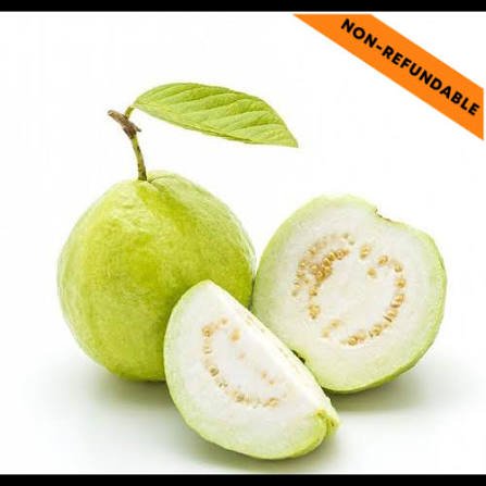 Guava  Amrood