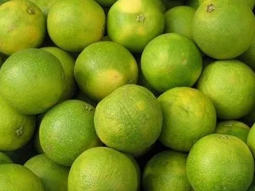 Sweet Lime / Mausambi